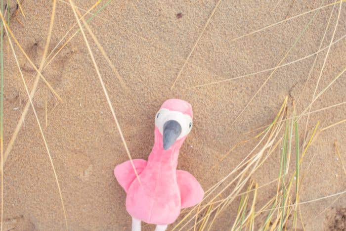 Knuffel Flamingo Alicia