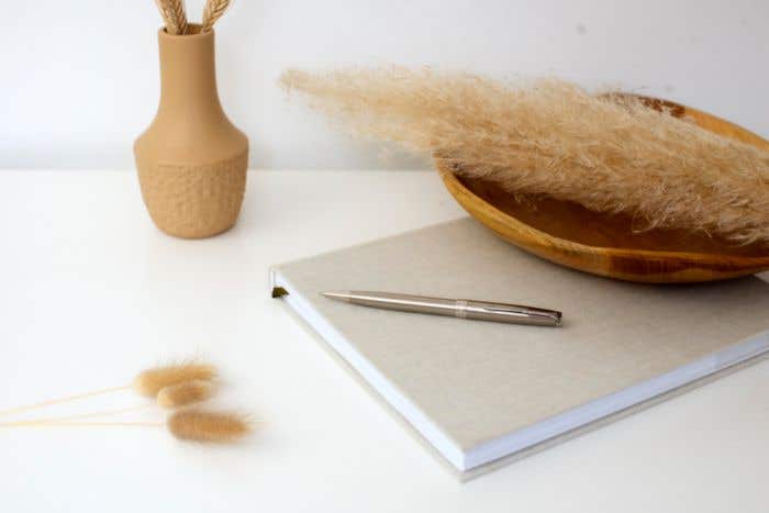 Parker balpen Sonnet Stainless Steel