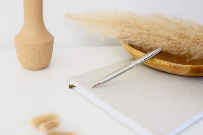 Parker balpen Sonnet Stainless Steel