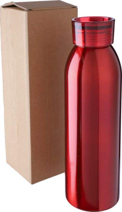 Drinkfles Cindy | 650 ml | Gerecycled RVS | Enkelwandig | Draagband