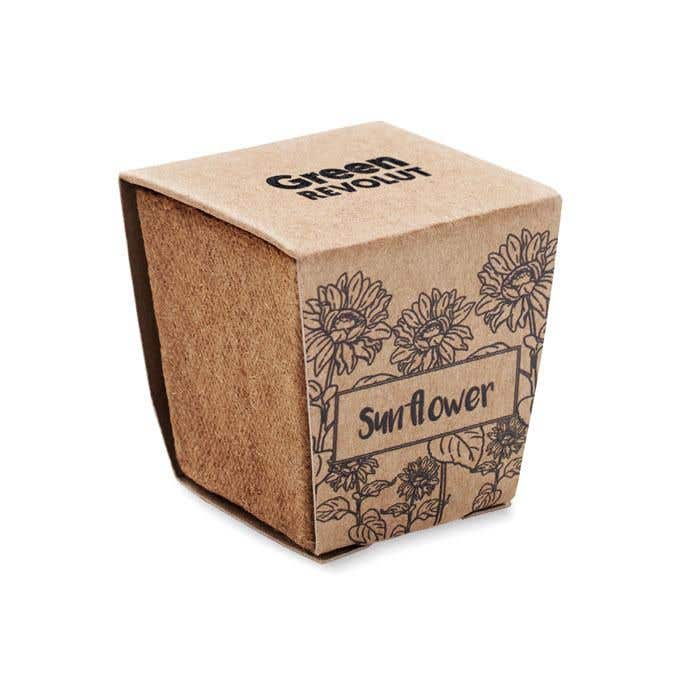Zonnebloem Kweekset Sunflower Kit
