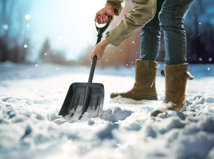 Sneeuwschep Zaya