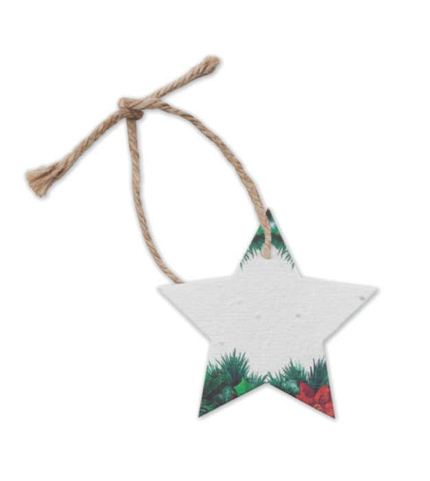 Zaadpapier Kerstornament Starseed