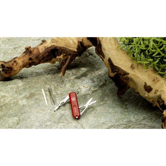 Victorinox Jetsetter