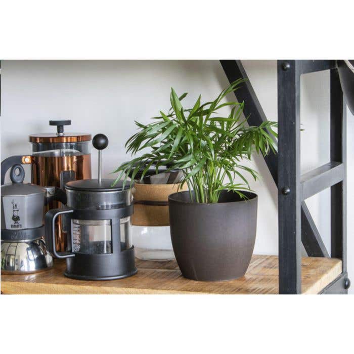 Bloempot | Koffiedik | Composteerbaar