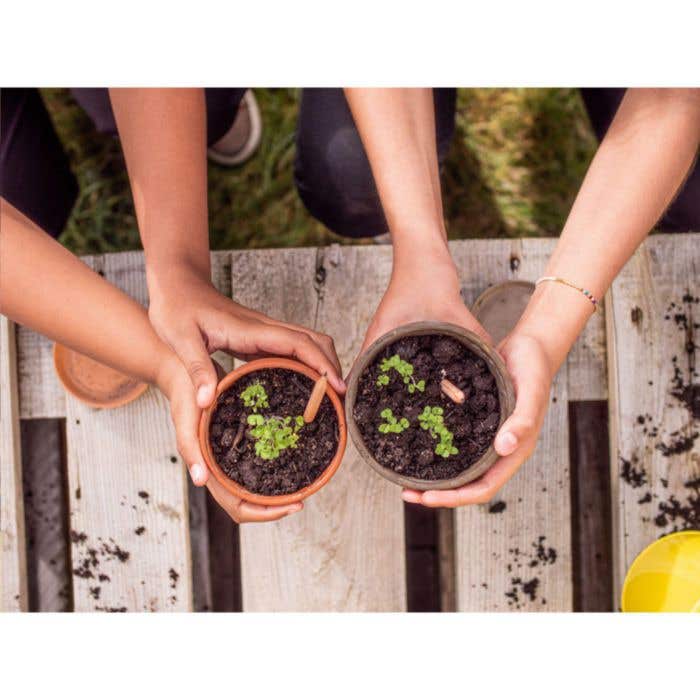 Sproutworld potlood | Plantbaar | Met zaadjes