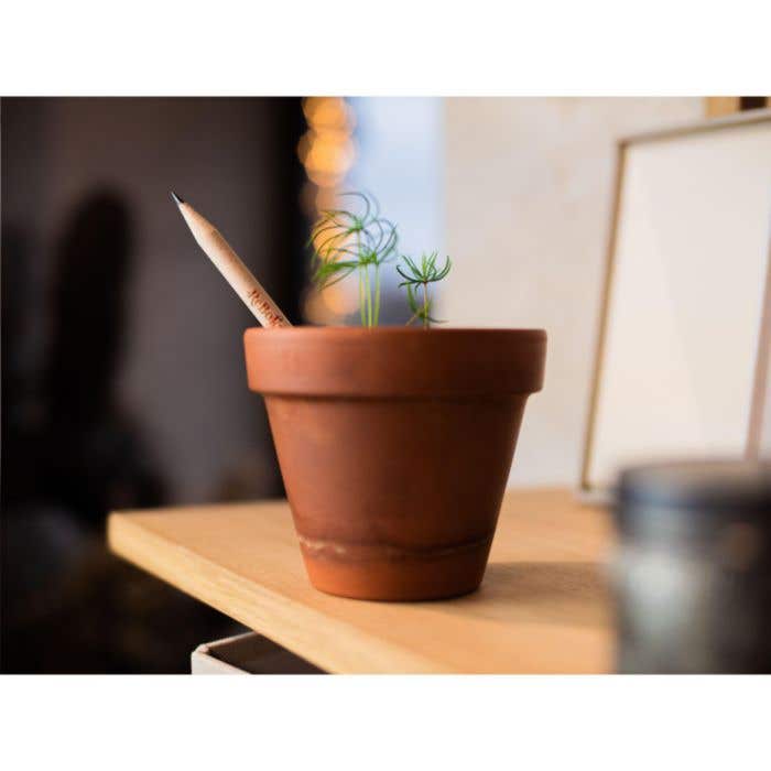 Sproutworld potlood | Plantbaar | Met zaadjes