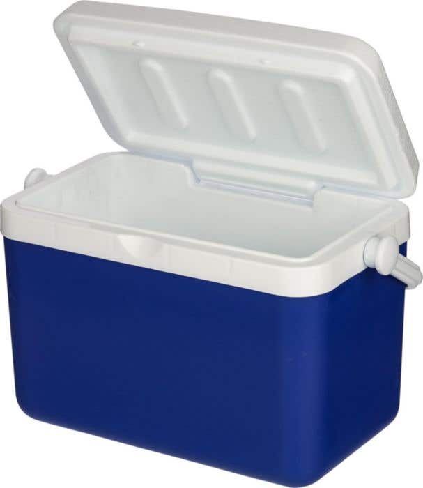 Koelbox Sunkissed | 4 l