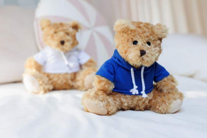 Knuffelbeer Monty | Met hoodie
