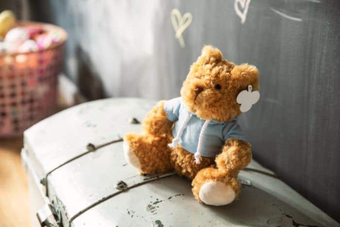 Knuffelbeer Monty | Met hoodie