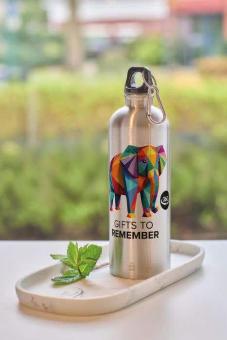 Drinkfles Emeric | 750 ml | Gerecycled RVS | Enkelwandig | Karabijnhaak