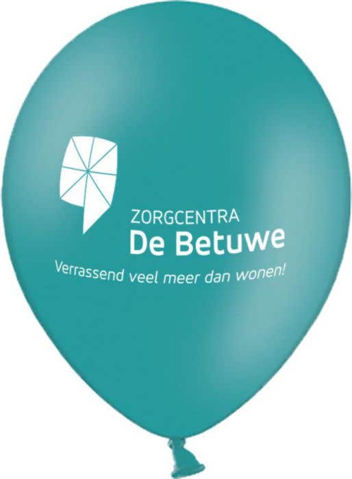 Ballonnen Pastel [30 cm]