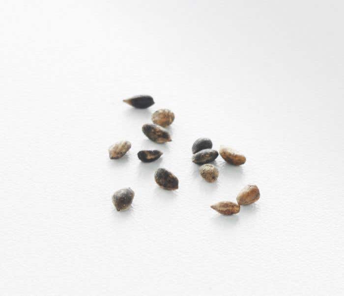 Boekenlegger Growbookmark