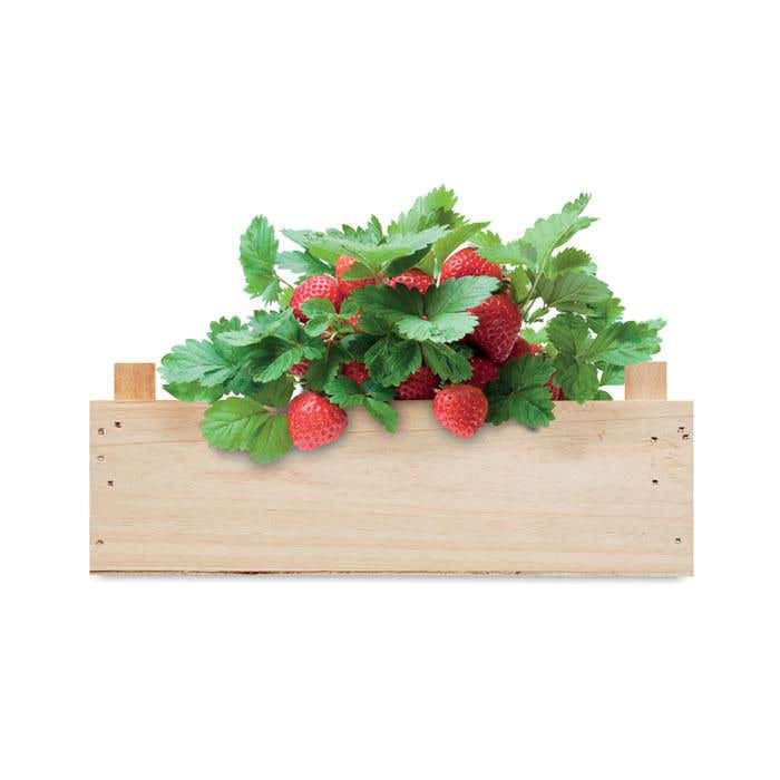 Aardbeienpakket in houten kratje