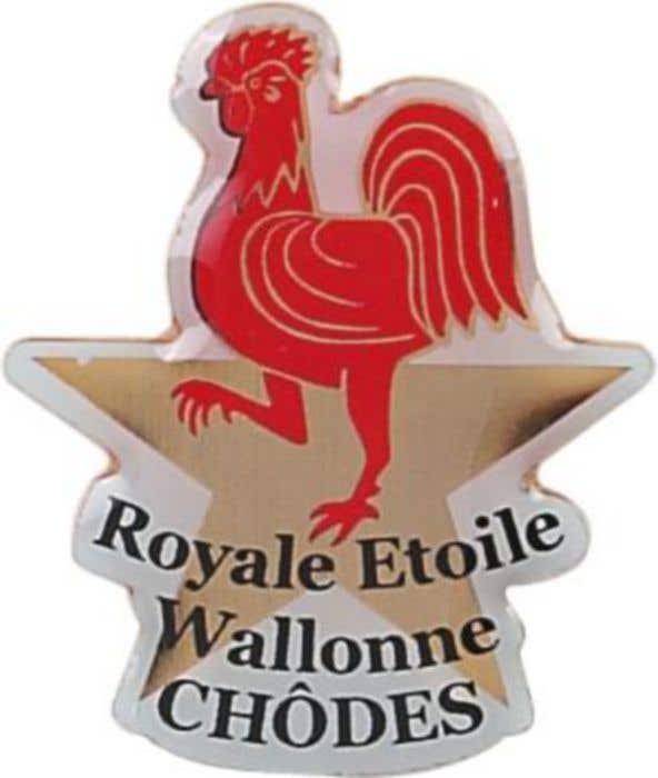 Metal Pin Custom 22mm