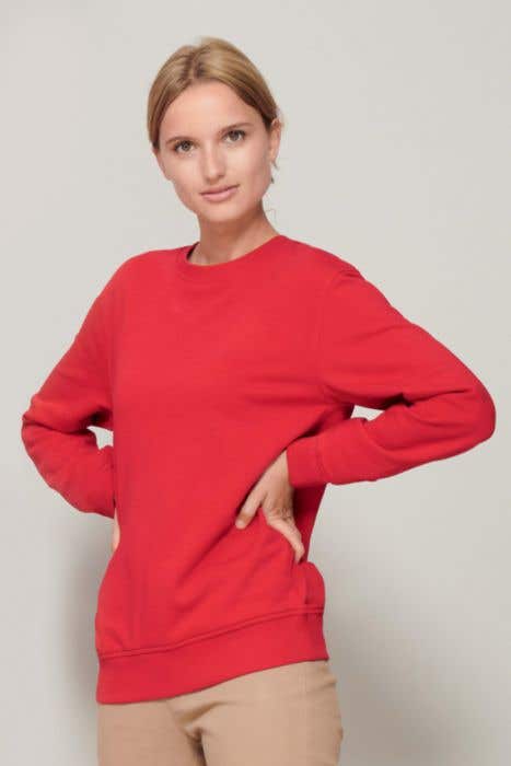 Sol's Sweatshirt Comet