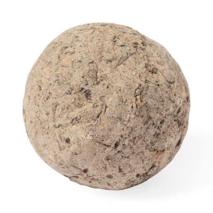 Zaadbol Mussox