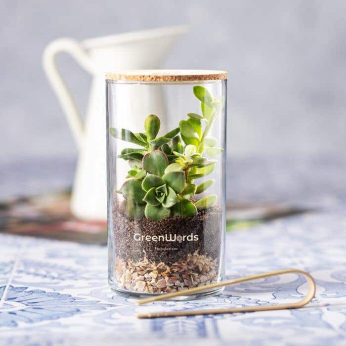 Terrarium Set Anymak