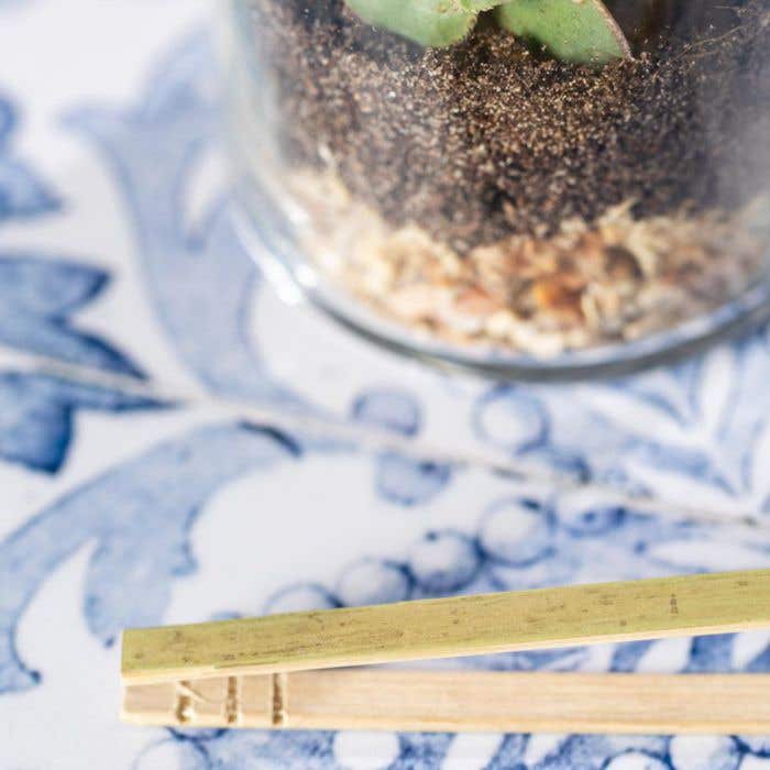 Terrarium Set Anymak