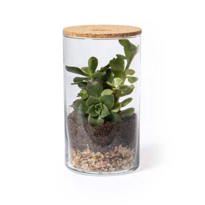 Terrarium Set Anymak